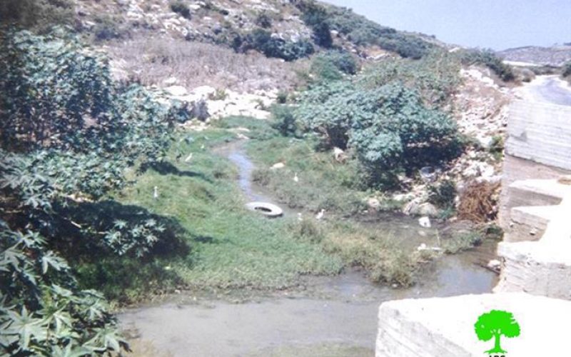 Israeli settlements transform Wadi Beit Amin into a highly polluted area