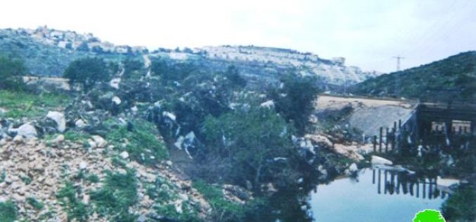 Wadi Qana polluted by Israeli settlements