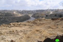 Land taken over for settlers’ protection in Hebron Governorate
