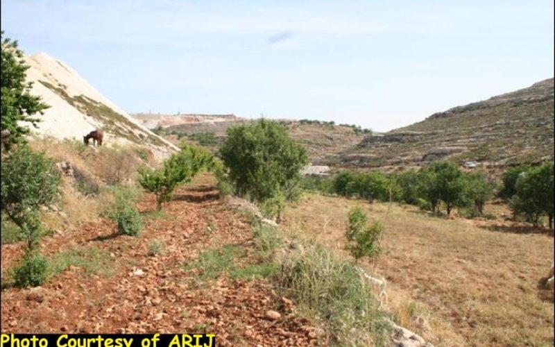 Artas village lands are targeted for settlement expansion