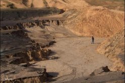 الكارثة البيئية في قرية أم النصر