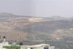 Israeli settlers set fire to agricultural lands in Ramin village