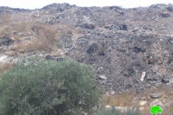 The Israeli established garbage dumpsite between Azzun and Jayyus  and its effect on humans and environment.