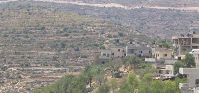 Colonists from Ma’ale Levona destroy dozens of olive trees in Al Lubban Ash Sharqiya village