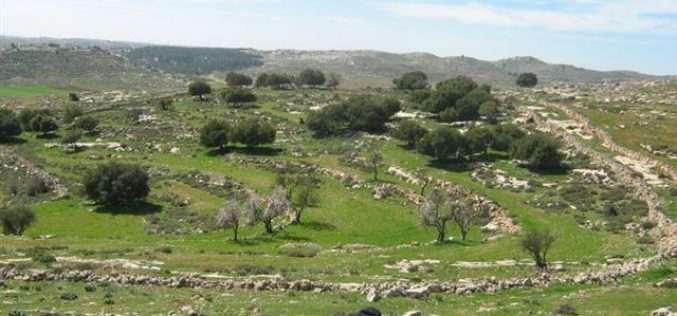 Deir Razih’s land under constant threat by Otni’el settlers