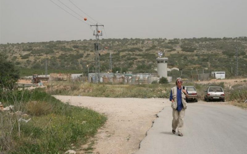 Israeli Occupation Forces Harass Palestinians in the North of the West Bank: