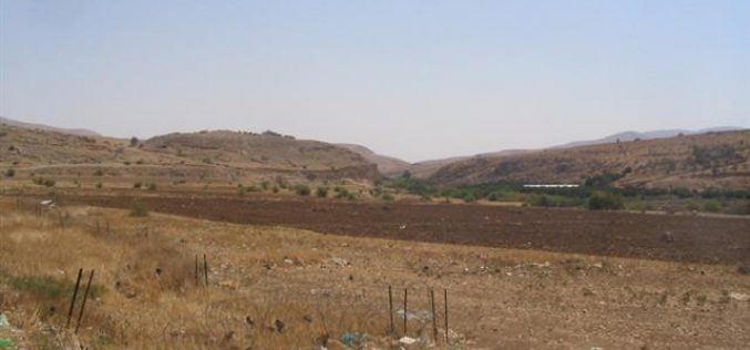 Confiscation of 356 Dunums in Northern Jordan Valley