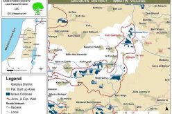 البؤر الاستيطانية شرق قلقيلية, أعمال تخريب وحرق لأراضي الفلسطينيين