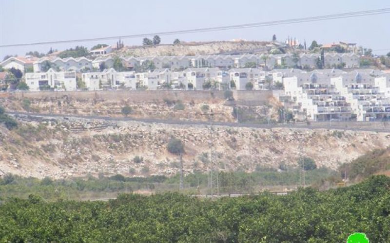 المستعمرون الإسرائيليون يستقبلون حكومة نتنياهو بتعزيز الاستيطان في المستعمرات الإسرائيلية