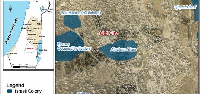 Israeli settlers seize four commercial shops inside the Old City of Hebron