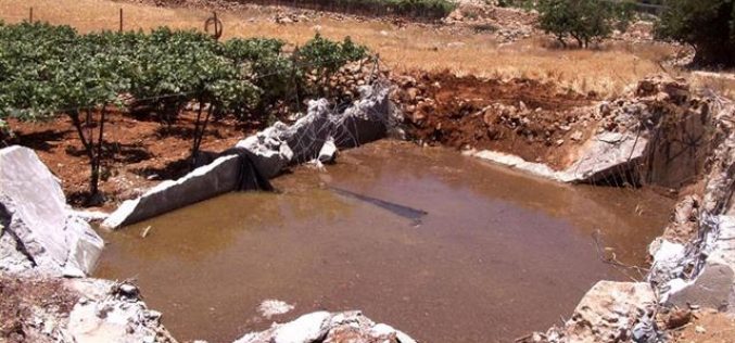 سلطات الاحتلال تجرف أراض زراعية وبركة مياه في منطقة البويرة