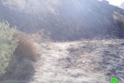 Settlers’ war of arson continued against Palestinian land in the occupied West Bank