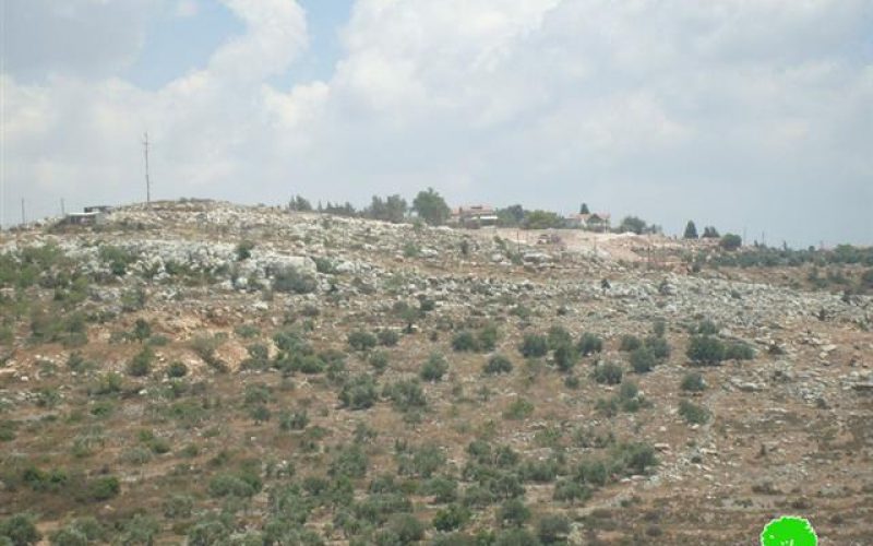 تجريف أراضي الفلسطينيين في قرية سرطة لصالح مستعمرة بركان