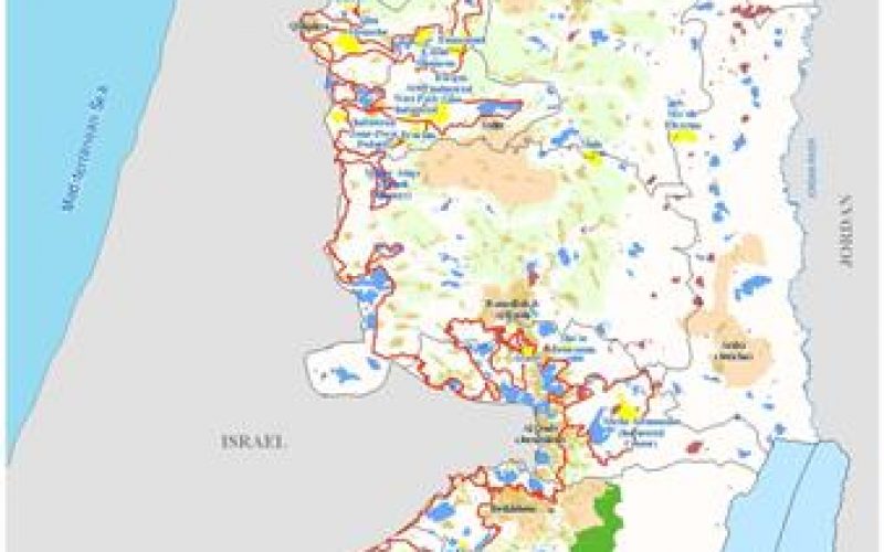 Boycotting the Israeli Occupation <br> “Why Boycott the Israeli Settlement’s Products?”