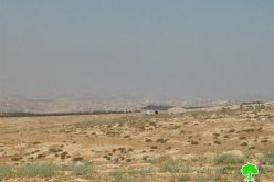Avigayl Colony Expands on the Expense of Lands of Khirbet Al Mufaggara