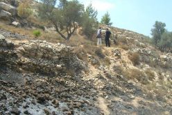 المستوطنون الاسرائيليون يحرقون مزيداً من  أراضي  الفلسطينيين في  بيت أمر وصافا
