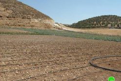Confiscation of agricultural water tanks and irrigation tools
