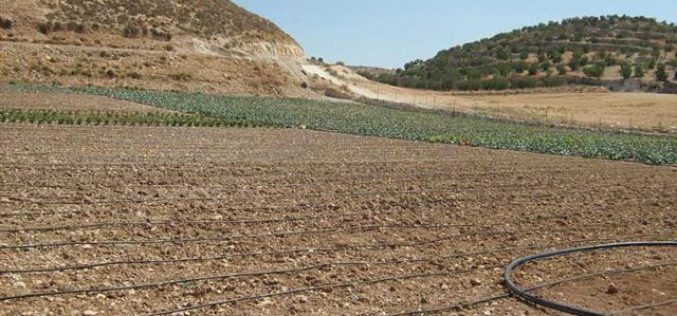 الاحتلال يصادر صهاريج مياه زراعية في قرية سوبا غرب الخليل