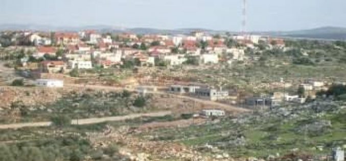 Israeli Colonial expansions on Deir Istiya village lands