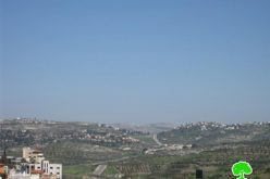 Israeli Colonists Uproot Tens of Olive Seedlings in Kafr Kaddum village