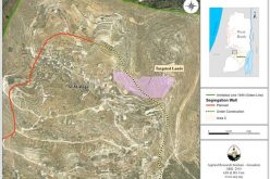 Israel continues razing Al Walajeh village lands for the Interest of the Israeli Segregation Wall