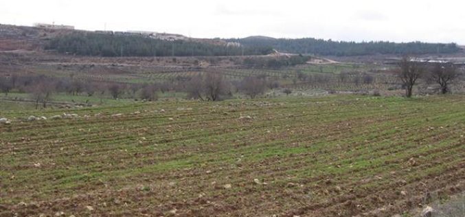 Israeli Occupation Authorities Confiscate 600 Dunums of Brikot Lands