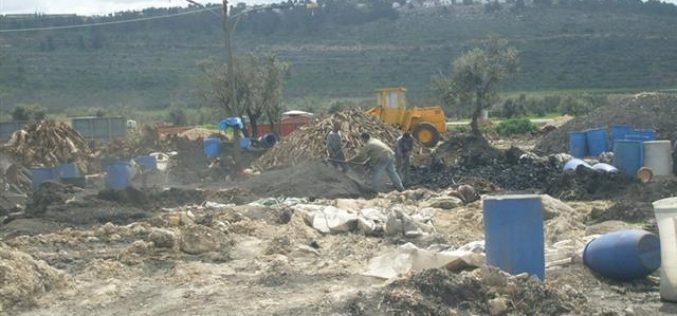 الاحتلال الإسرائيلي يخطر 18 منشأة لتصنيع الفحم في بلدة يعبد بوقف البناء