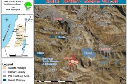 Uprooting and theft of hundreds of Olive Trees in  ‘Awarta and Beit Dajan – Nablus Governorate