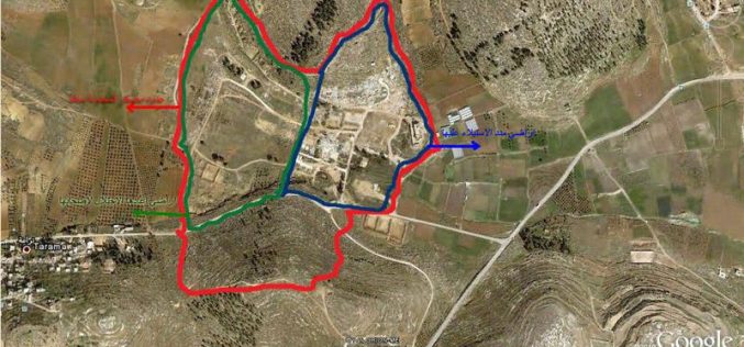The Israeli Occupation Military Camp of “Al Majnouna”; Are they in or out?