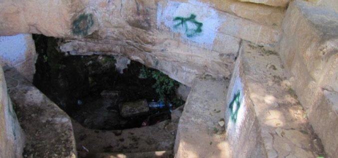 Israeli Aggressions Continue.. Beit El colonists Bully Dura al Qar’ – Ramallah Governorate