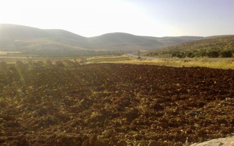 Colonists of A’adi A’ad Outpost Torch 40 Dunums in the Village of Al Mughayyer – Ramallah Governorate