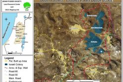 حرق عشرات أشجار الزيتون في قرية كفر قدوم –  قلقيلية