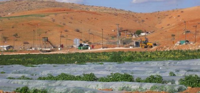 هدم بركس وغرفة زراعية وتدمير خط لنقل المياه فيمنطقة الحمرا – محافظة  أريحا