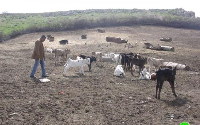 إخطار خمسة مزارعين بإخلاء أراضيهم الزراعيةفي خربة الطويل وحوض لفجم – محافظة نابلس