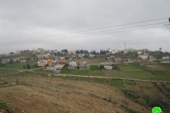 Ravaging 60 trees in Jinsafut village in Qalqiliya