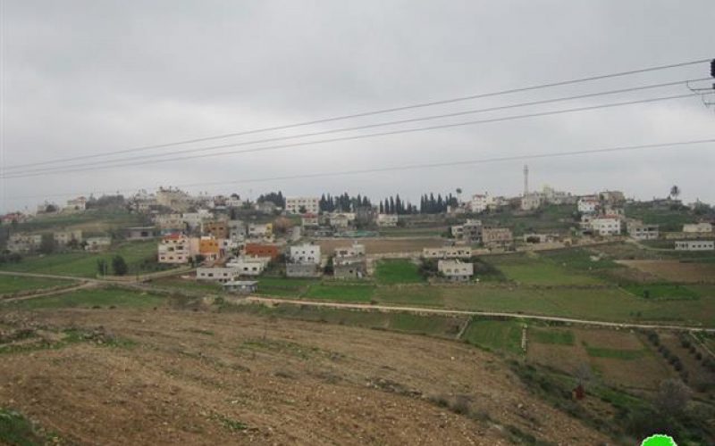 Ravaging 60 trees in Jinsafut village in Qalqiliya