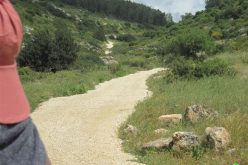 ربط المستوطنات الإسرائيلية في واد قانا بشبكة طرق  واحدة – محافظة  سلفيت