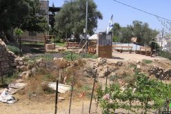 Physical abuse of Children in Tal Rmeida – Hebron city