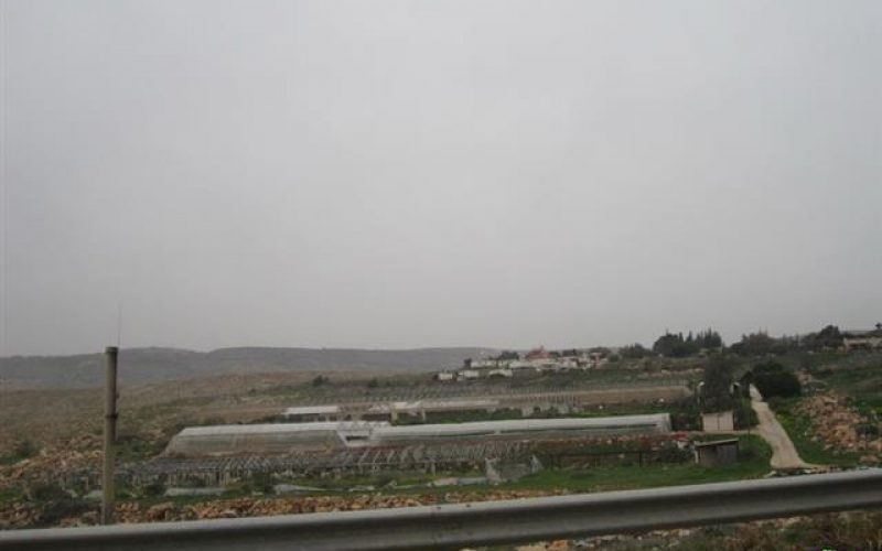 The Colony of Jittit Expands at the Expense of the Town of Aqraba