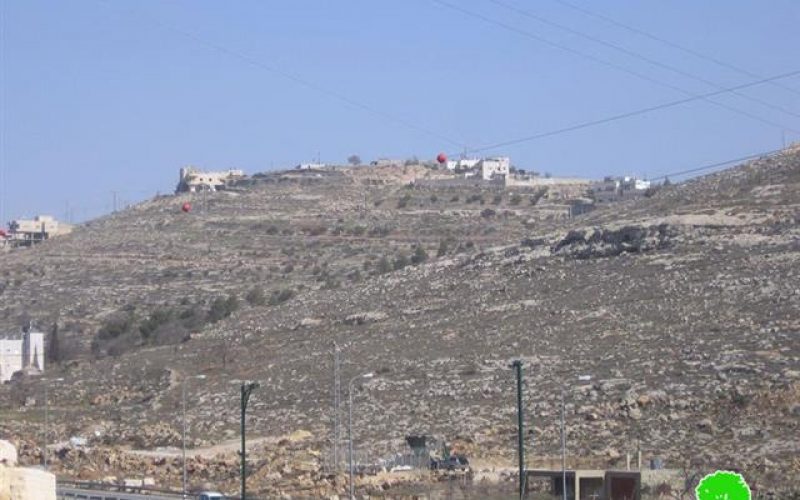 Colonists Plant Palestinian Lands with Forest Trees in Al baq’a and al Idessa – Hebron city