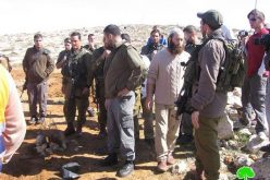 Suseya Colonists Attacks Palestinians While Farming Their Lands in Yatta town  – Hebron Governorate.