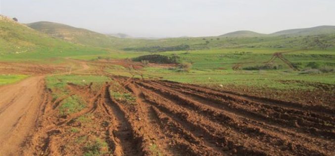 الاحتلال الإسرائيلي يدمر العشرات من الدونمات الزراعية أثناء التدريبات العسكرية في الأغوار الشمالية