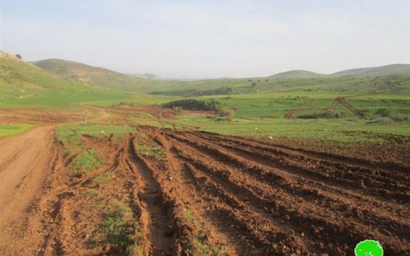 الاحتلال الإسرائيلي يدمر العشرات من الدونمات الزراعية أثناء التدريبات العسكرية في الأغوار الشمالية