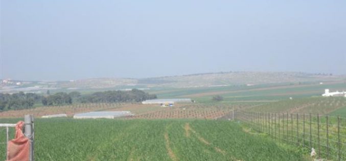 الاحتلال الإسرائيلي يواصل حرمان أهالي قرية كفر دان من استغلال المياه الجوفية في سهول القرية