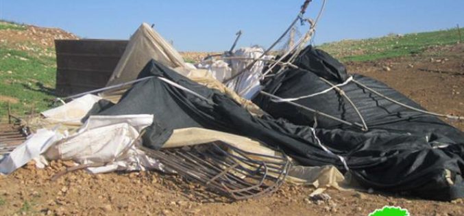 The Israeli Occupation Army demolishes Two Sheds in Jiftlik