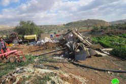 Demolishing a Shack in Beit Dajan