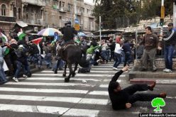 التقرير الشهري حول الانتهاكات الإسرائيلية في مدينة القدس المحتلة خلال شهر آذار 2012