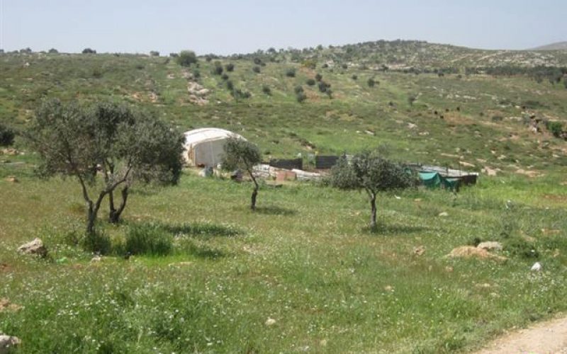 Demolishing Sheds in Al Ju’wana