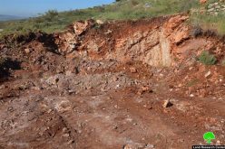 Israeli bulldozers Leveled 20 Dunums in Salfit