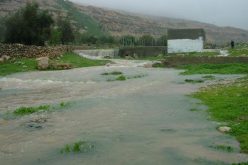 Pumping Sewage towards Nahhalin